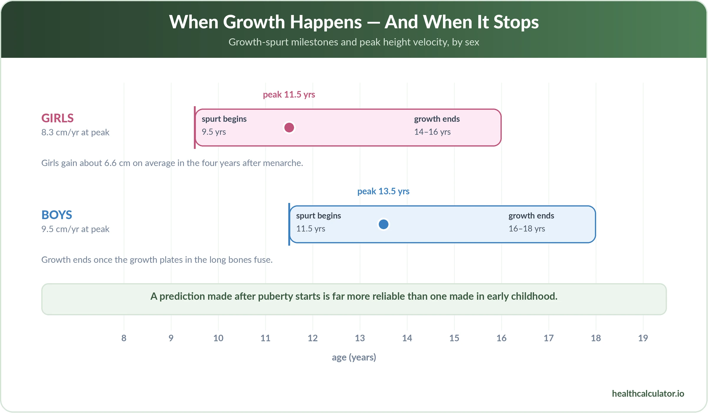 Growth timeline: girls peak at 11.5 years and finish by 16, boys peak at 13.5 years and finish by 18