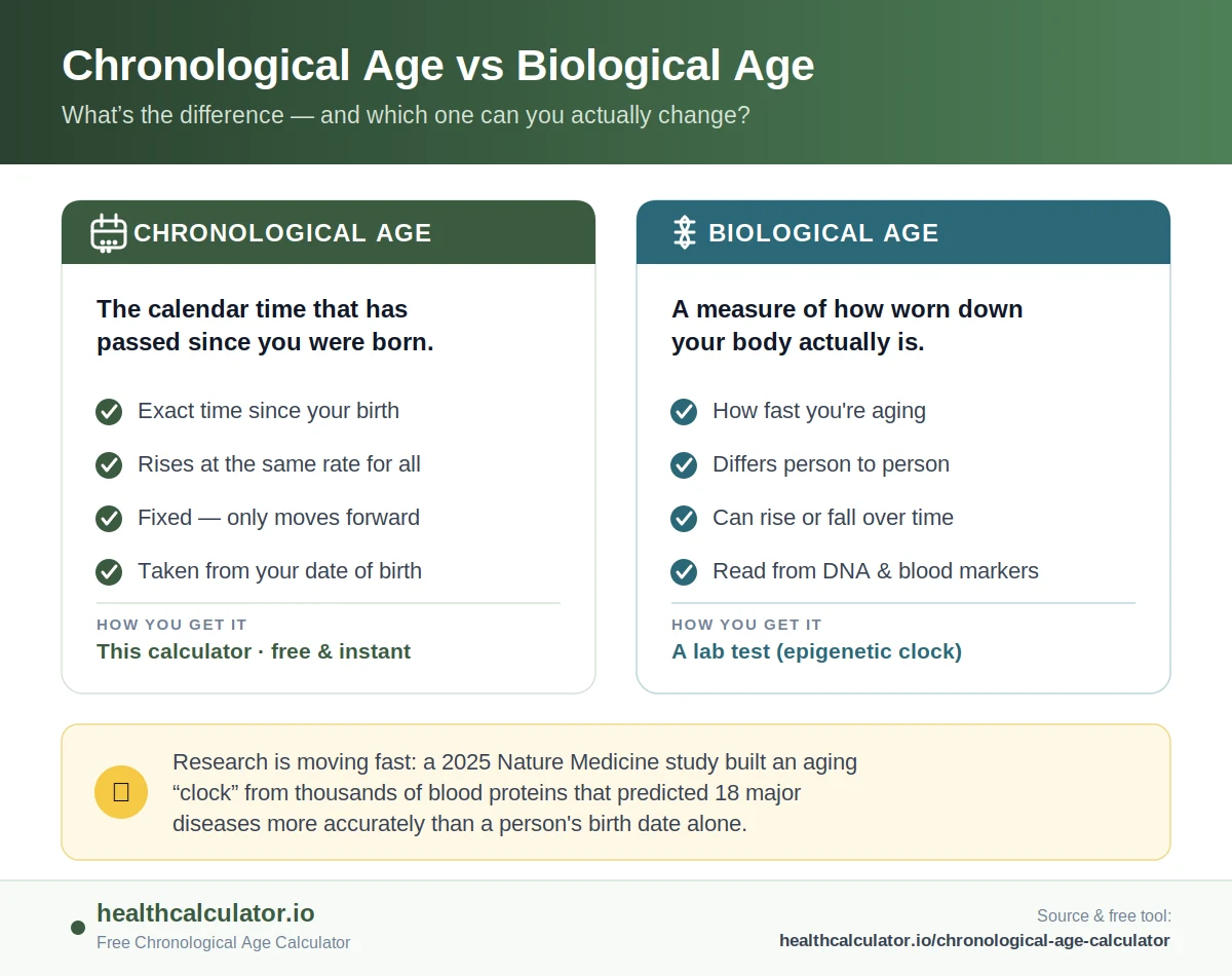 Chronological age vs biological age comparison: chronological age counts calendar time from your birth date, while biological age reflects how fast your body is actually aging.
