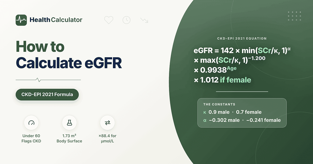 How to Calculate eGFR: eGFR calculation formula (CKD-EPI 2021) with male and female constants