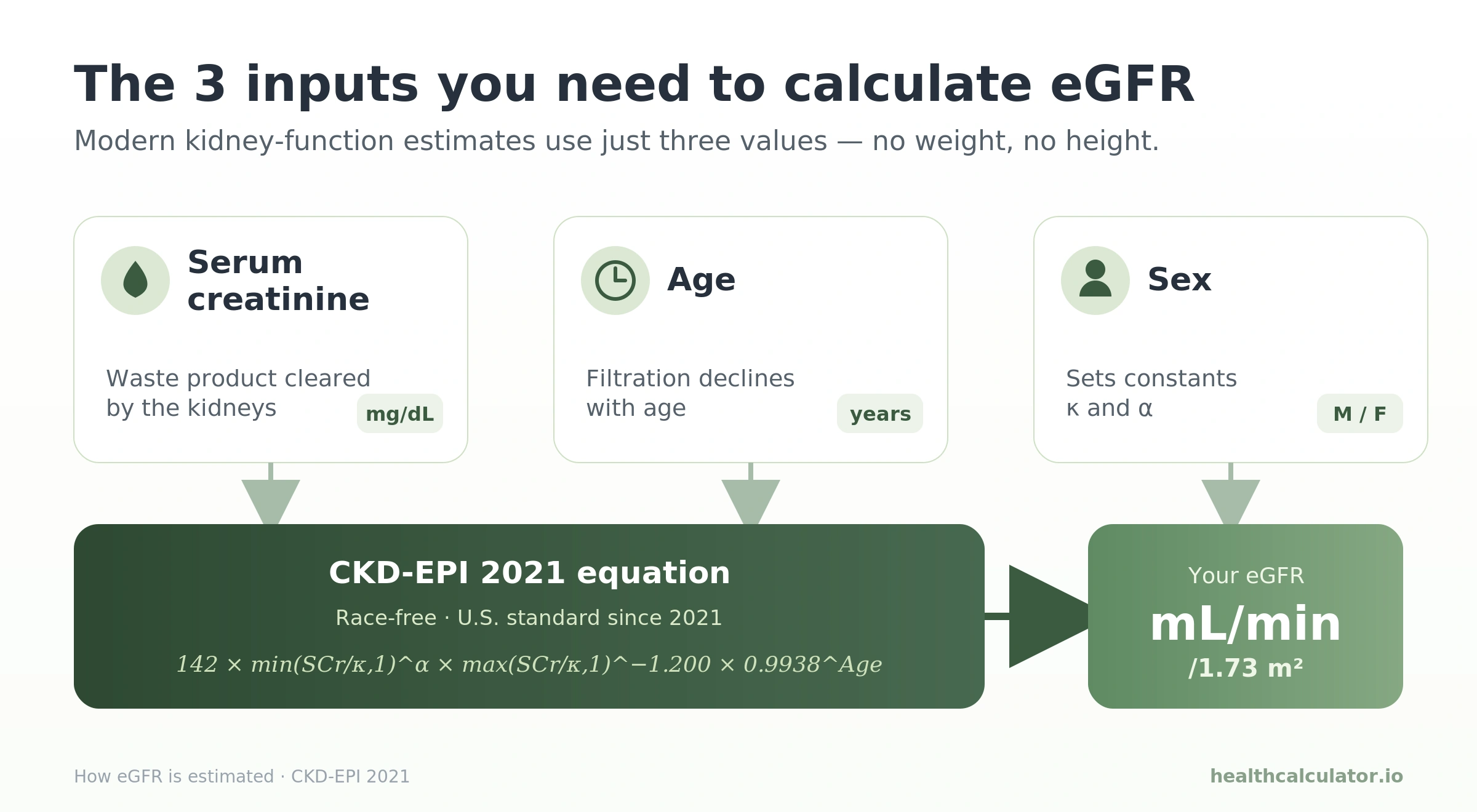 Infographic showing the three inputs used to calculate eGFR — serum creatinine, age, and sex — feeding the CKD-EPI 2021 equation.