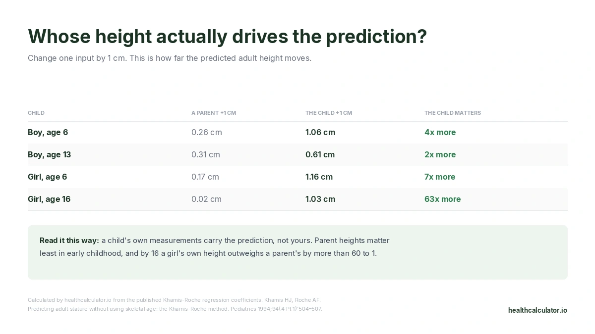 Table showing a child's own height moves the Khamis-Roche prediction 4 to 63 times more than a parent's height, at ages 6, 13 and 16