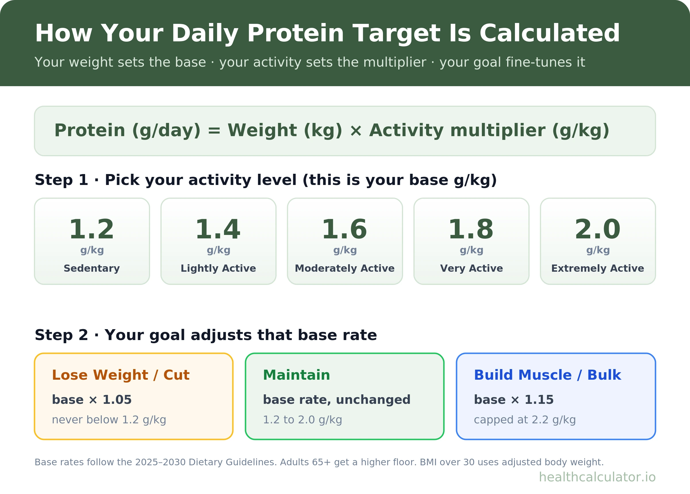 How the protein calculator sets your daily target: weight times an activity multiplier from 1.2 to 2.0 g/kg, adjusted for your goal.