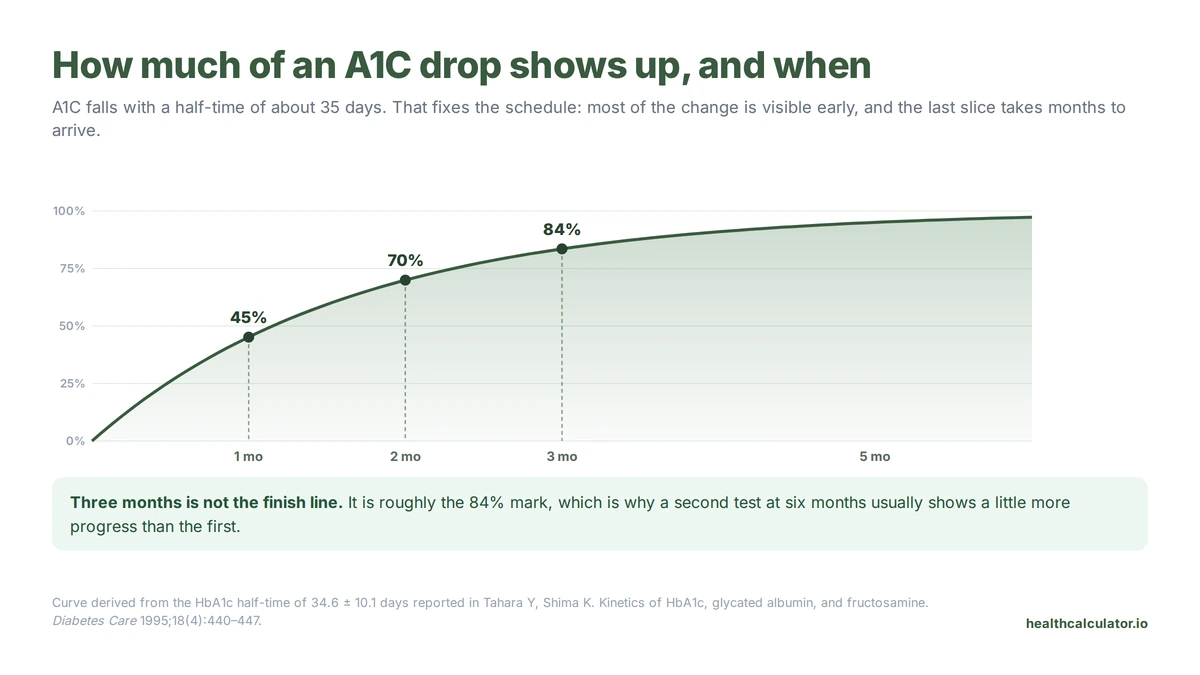 Line chart showing the share of an A1C change that is visible over time, marking 45 percent at one month, 70 percent at two months and 84 percent at three months