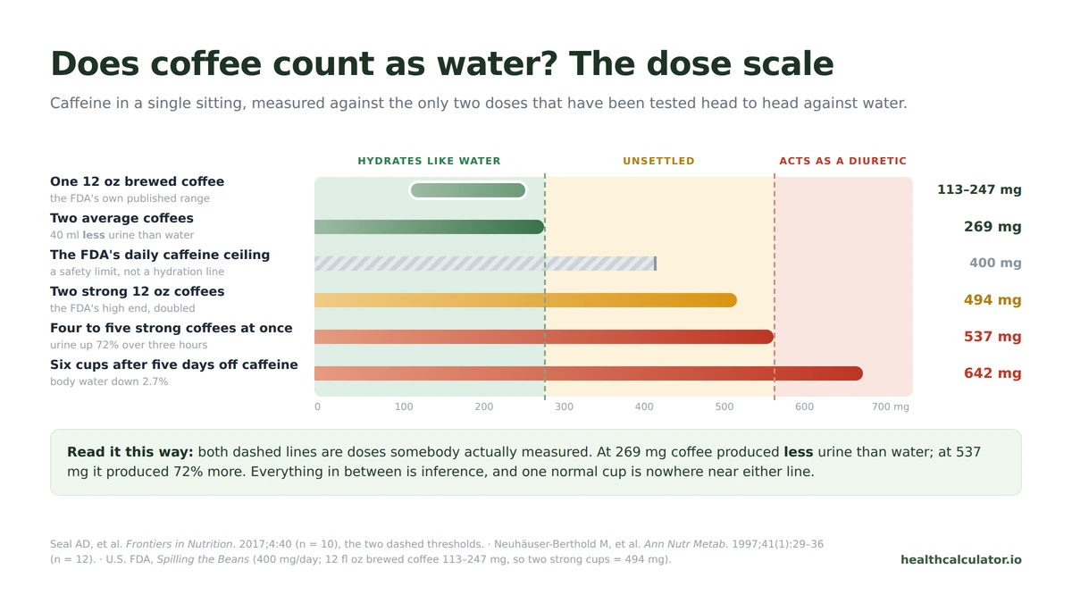 Chart answering does coffee count as water by caffeine dose, from a 113 to 247 mg typical coffee and 269 mg with no diuretic effect up to 537 mg raising urine output 72 percent