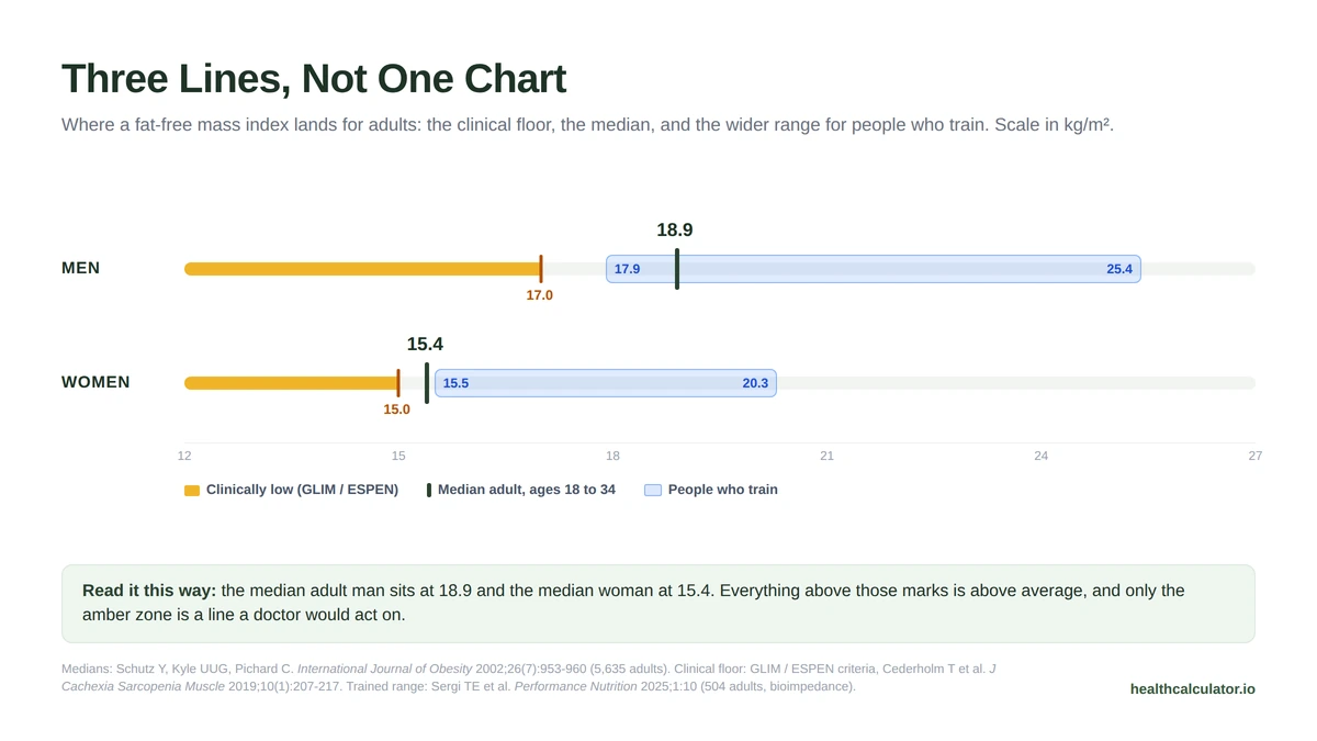 Where your FFMI sits among adults: the clinical floor, the median adult and the trained-adult range for men and women