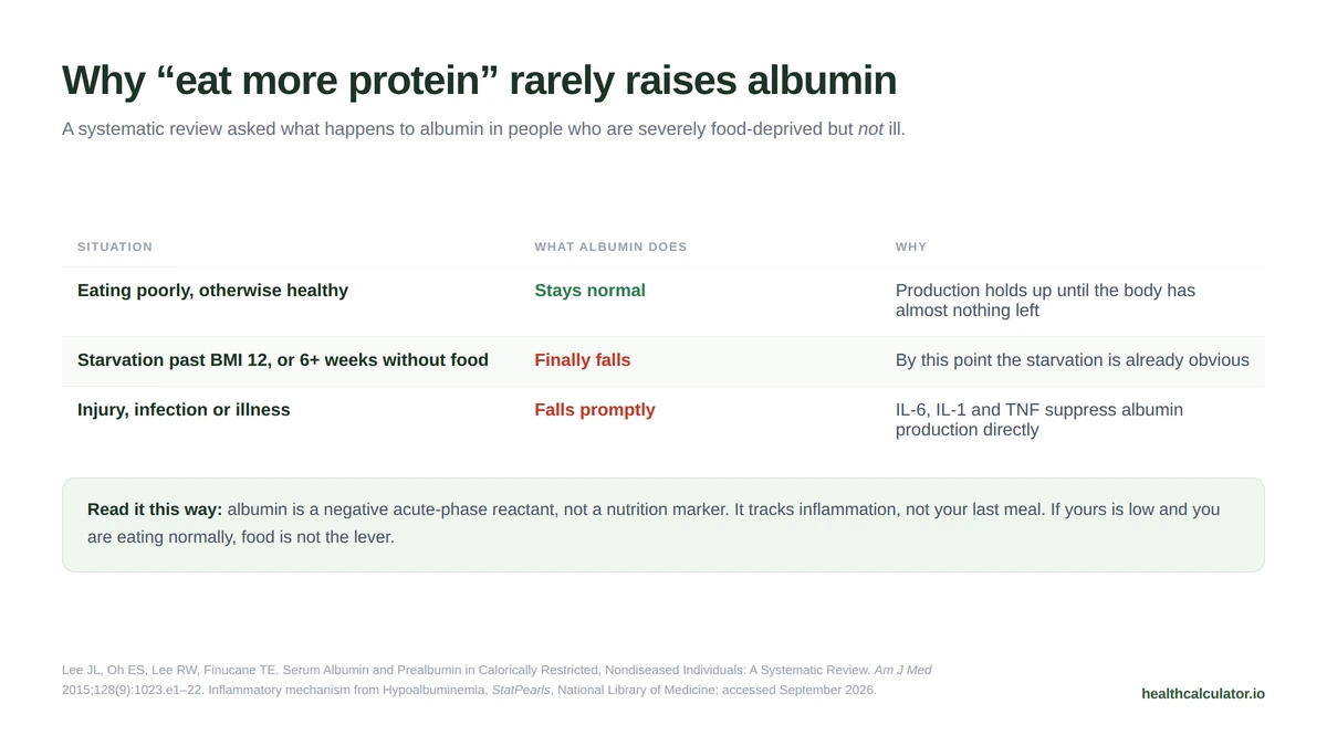 Comparison showing that in otherwise healthy people albumin stays normal until BMI drops below 12 or six weeks of starvation, while illness lowers it within days regardless of diet
