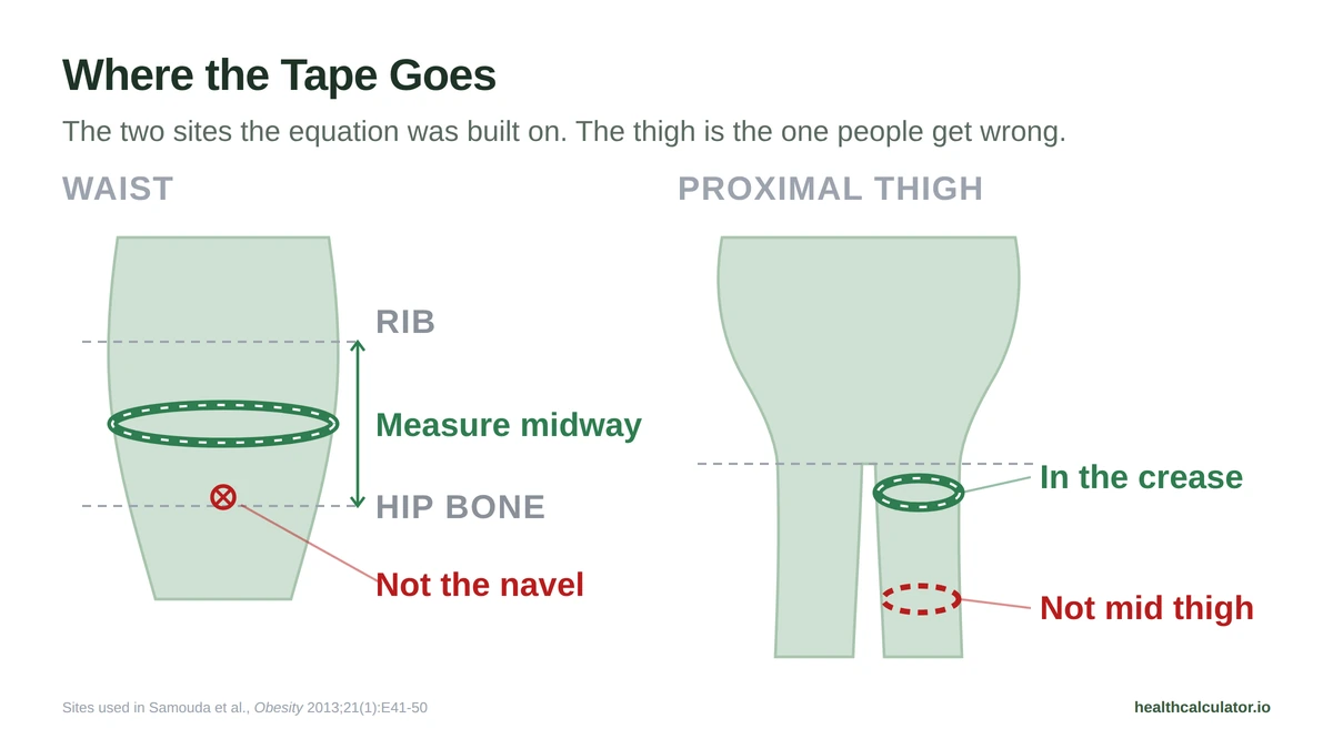Where to put the tape for the waist, midway between the lowest rib and hip bone, and for the proximal thigh, in the buttock crease